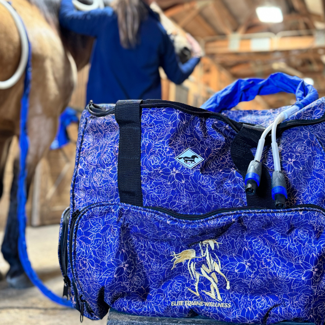 PEMF & Trailer Organizer Bags