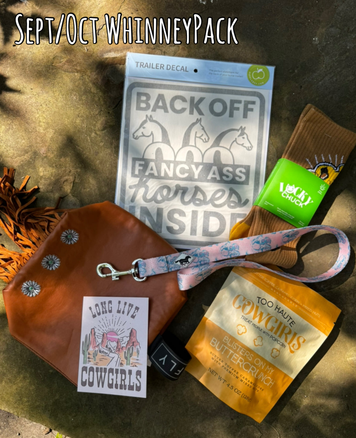 Bi monthly WhinneyPack horse subscription box with equestrian tack and treats
WhinneyWear themed horse subscription box with barn gifts and exclusive tack
Horse owner gift box with treats, tail bag, and equestrian surprises