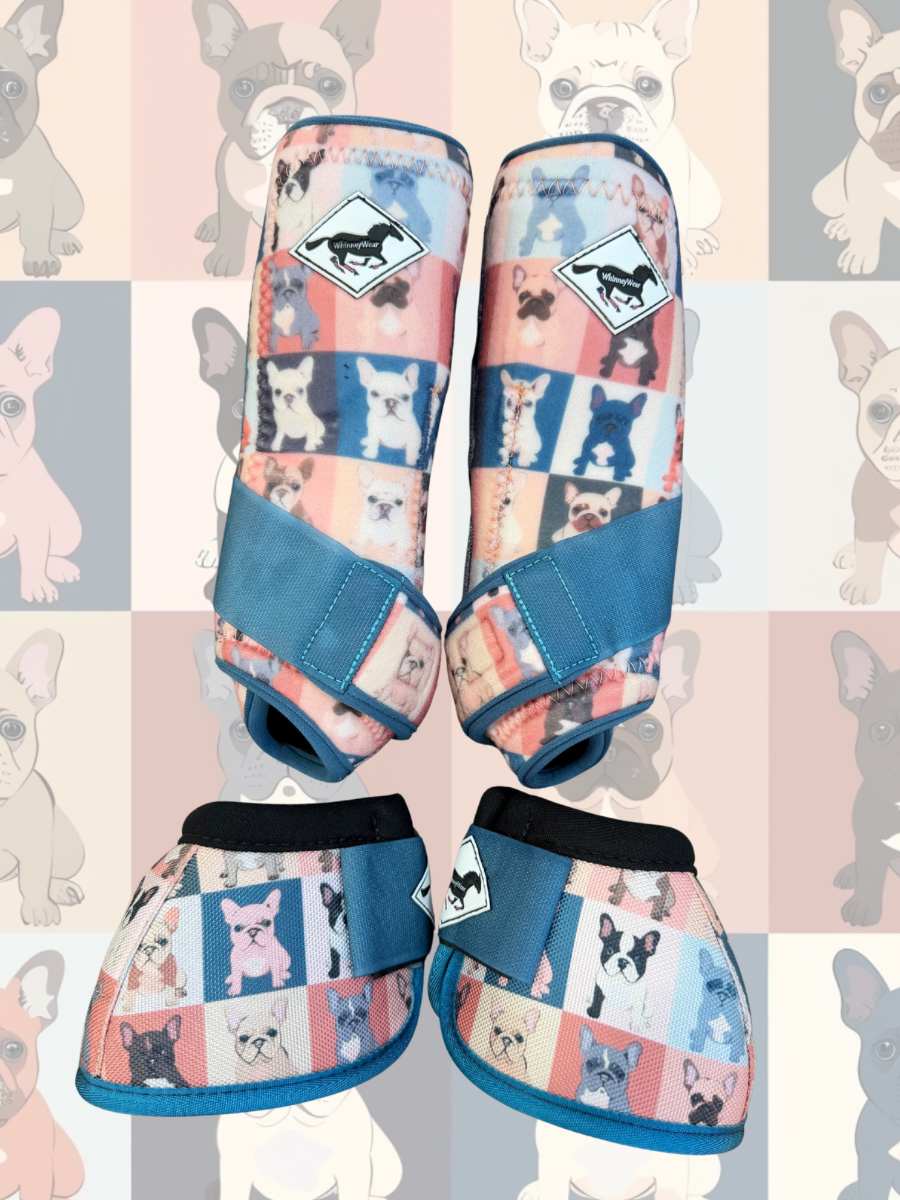Made to Order Frenchie Dog Horse Sport Boots | WhinneyWear