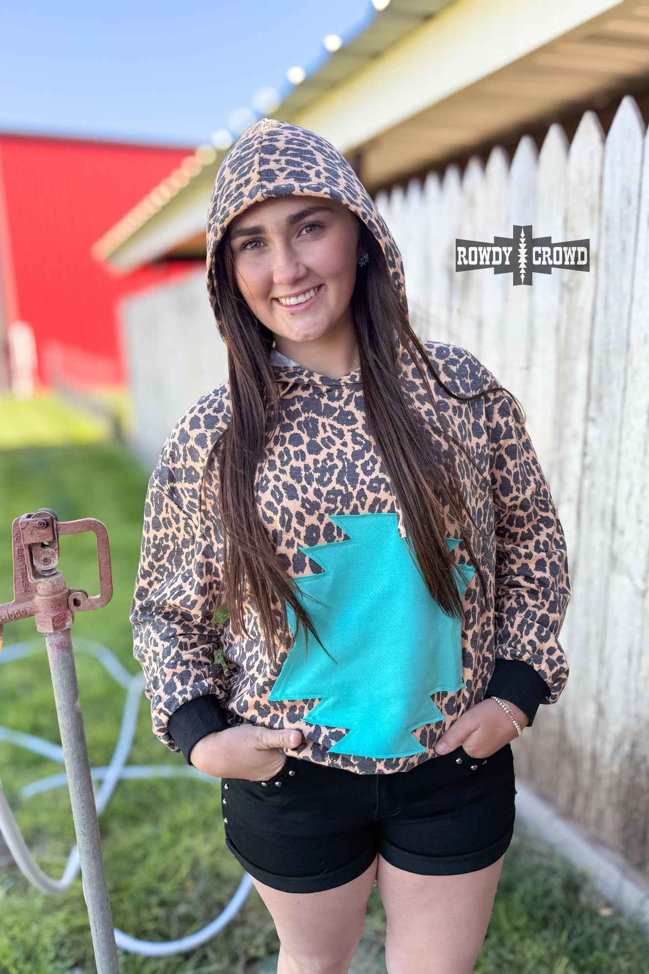 DS Wildcat Hoodie
