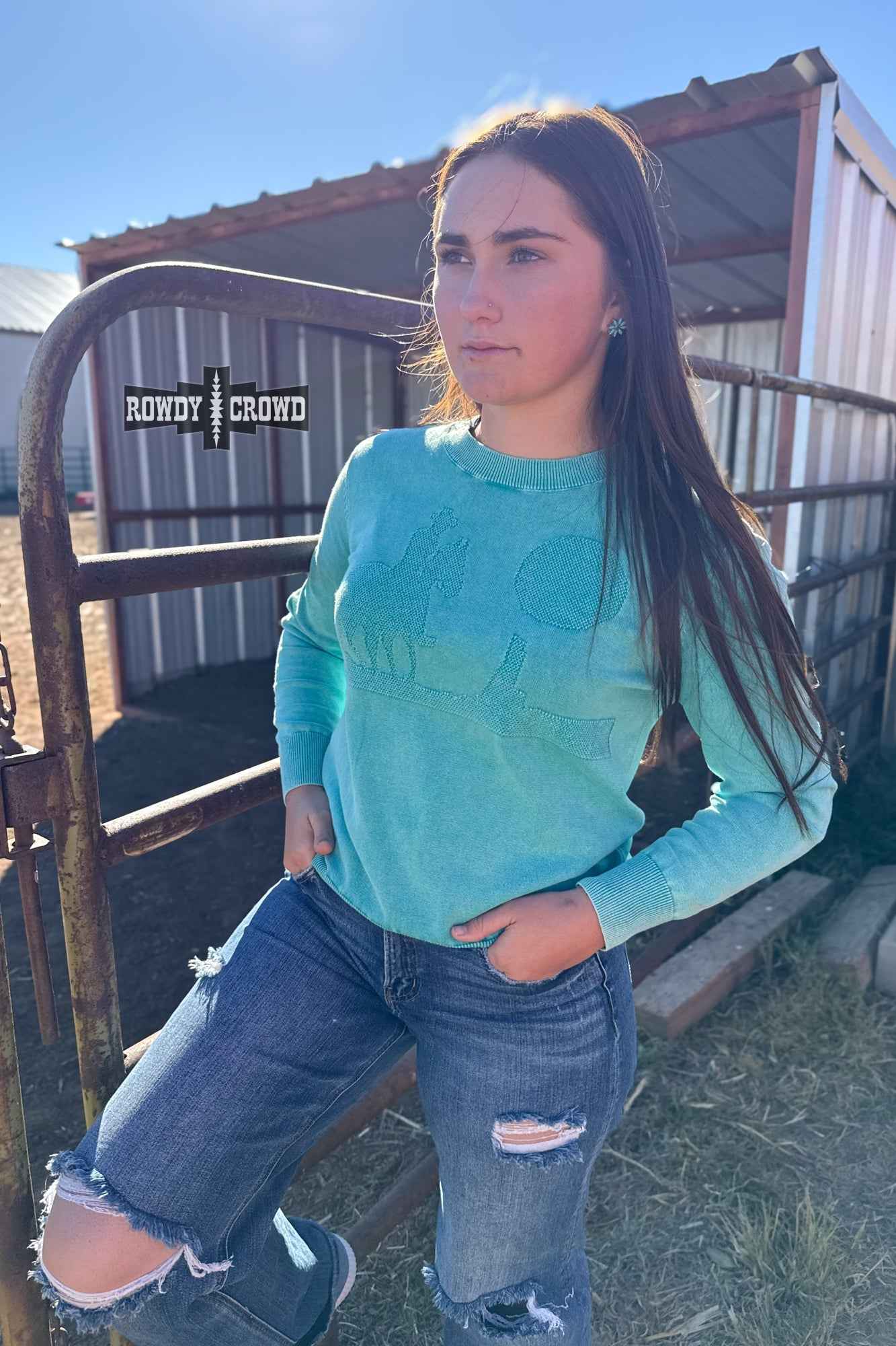 DS Like a Cowboy Sweater
