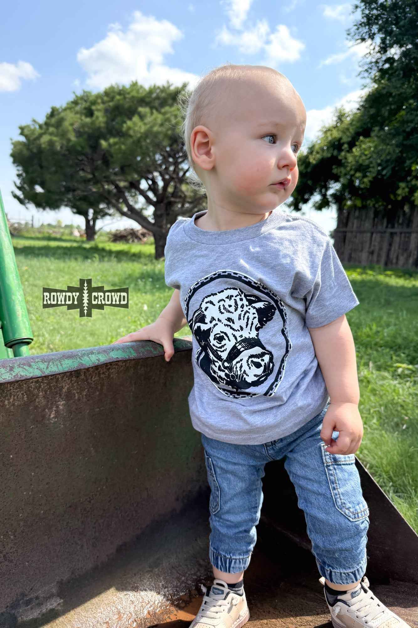 DS KIDS Happy Hereford Tee- GREY