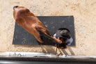 Portable Stall Mat Black 5x10