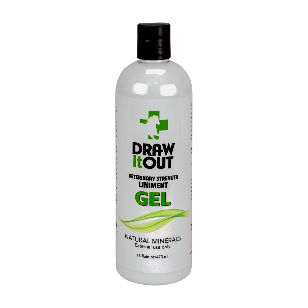 Draw It Out® 16oz Liniment Gel | Daily Horse Care