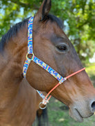 Celestial Unicorn/Lariat Nose Halter