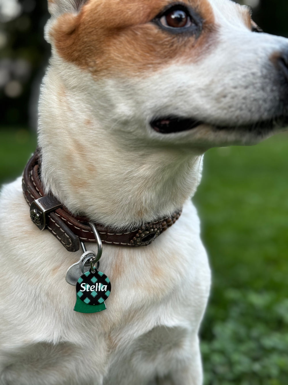 Custom Pet Tag