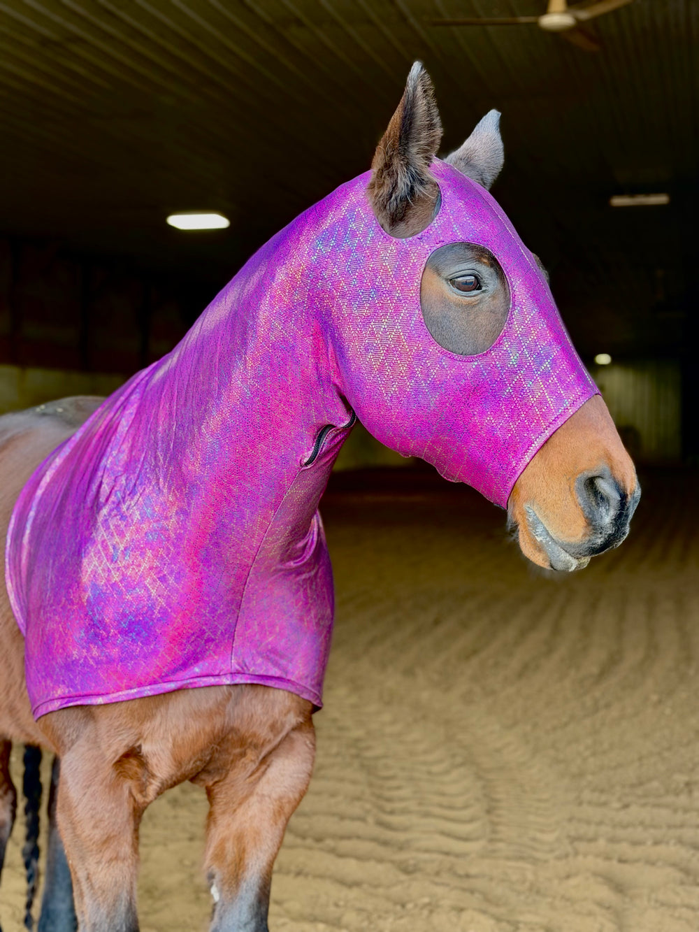 Hot Flash Holographic Slinky