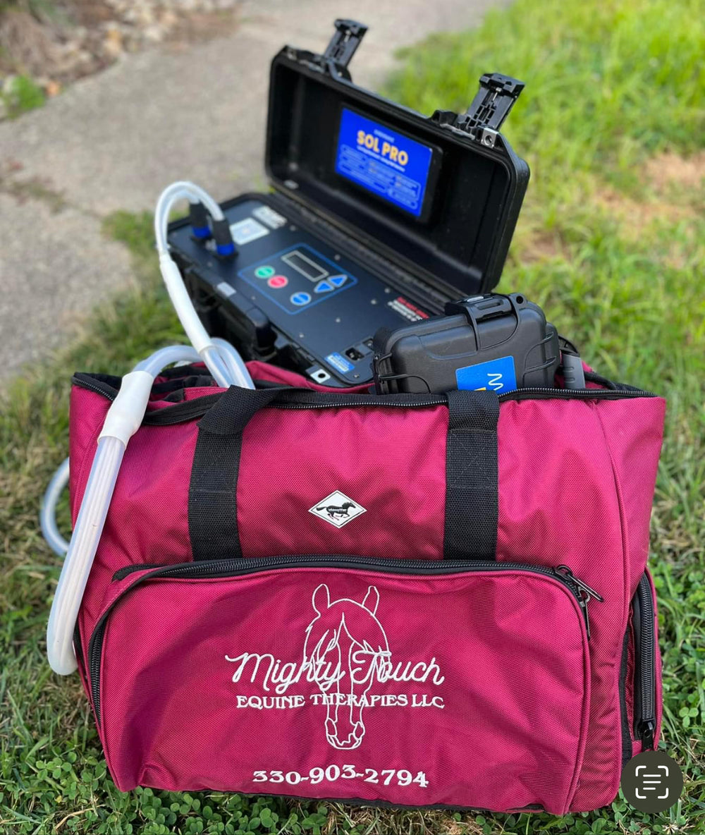 CUSTOM WhinneyOrganizer Bag – Rectangle Gear Bag