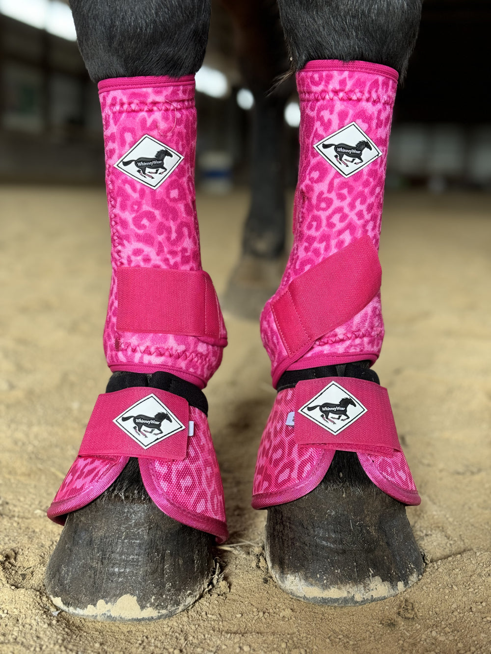 Made to Order Pink Leopard Horse Sport Boots | WhinneyWear