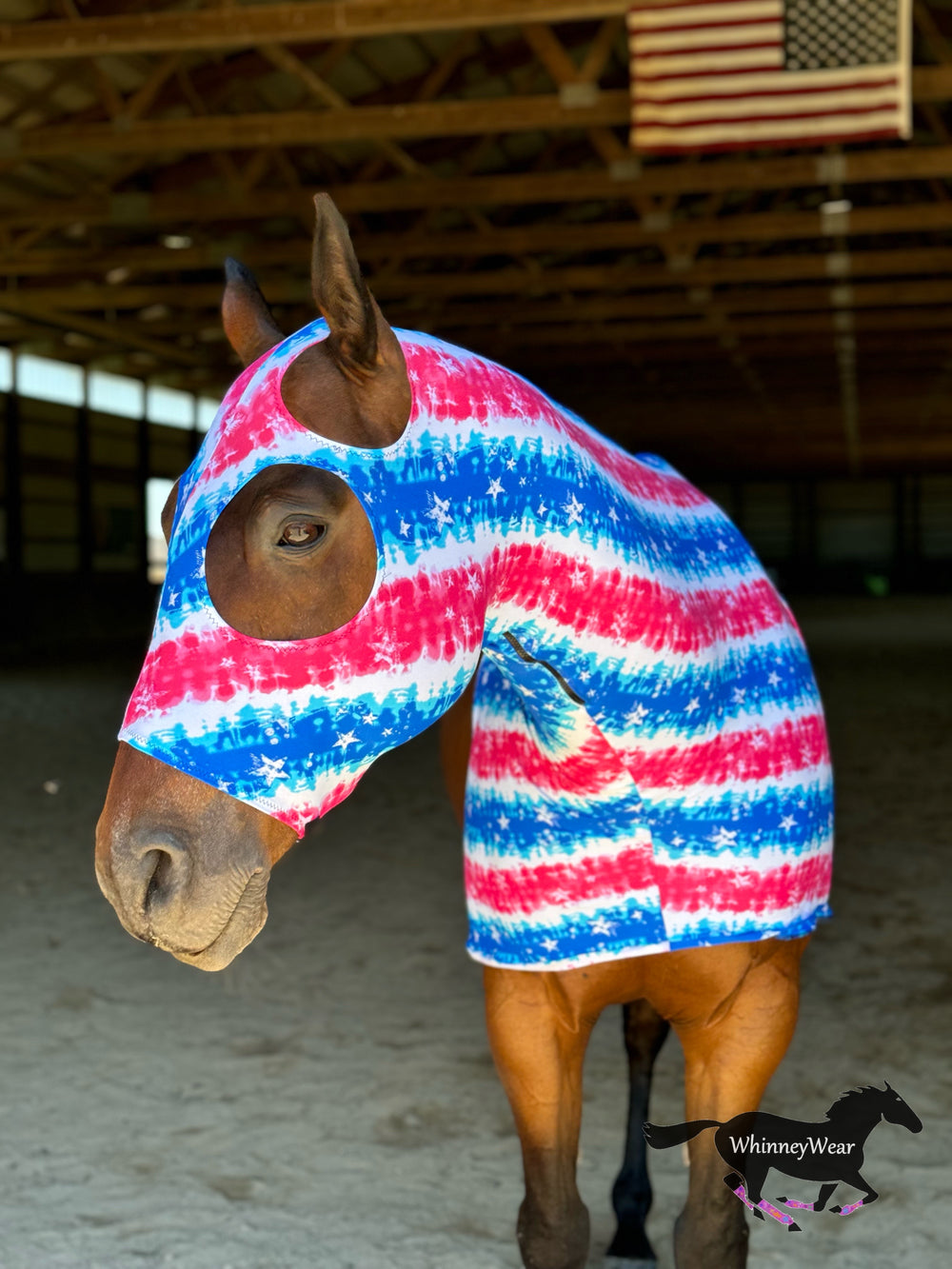 Stars & Stripes Slinky