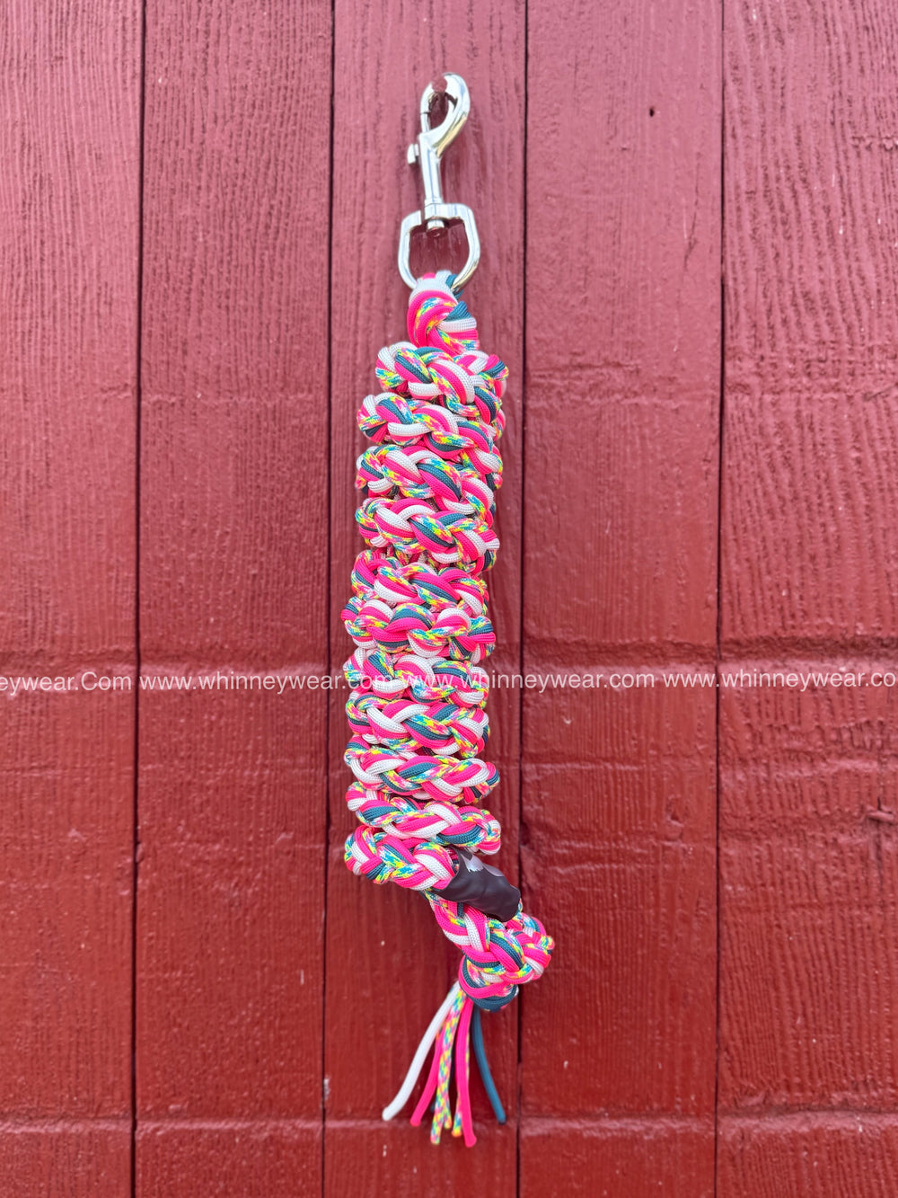Birthday Cake Braided Leadrope