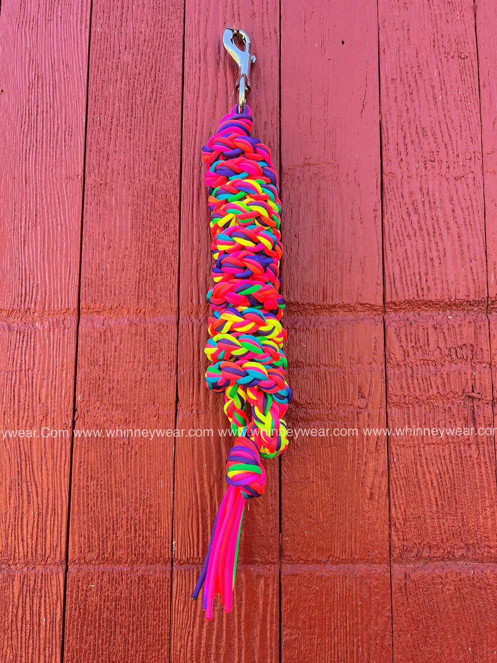 Rainbow Ombre Braided Leadrope