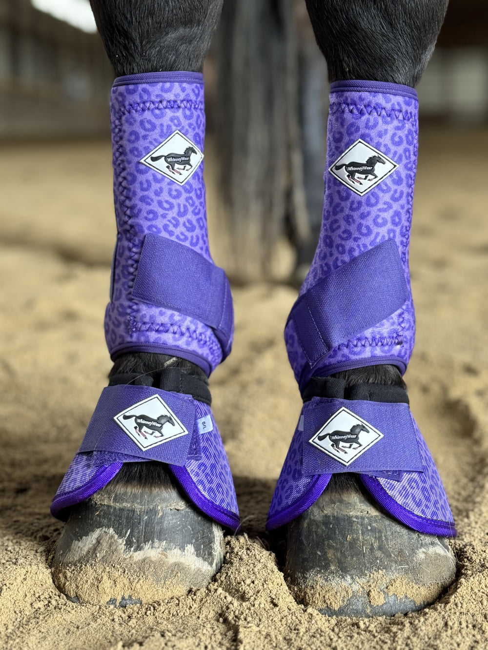 Made to Order Purple Cheetah Horse Sport Boots | WhinneyWear