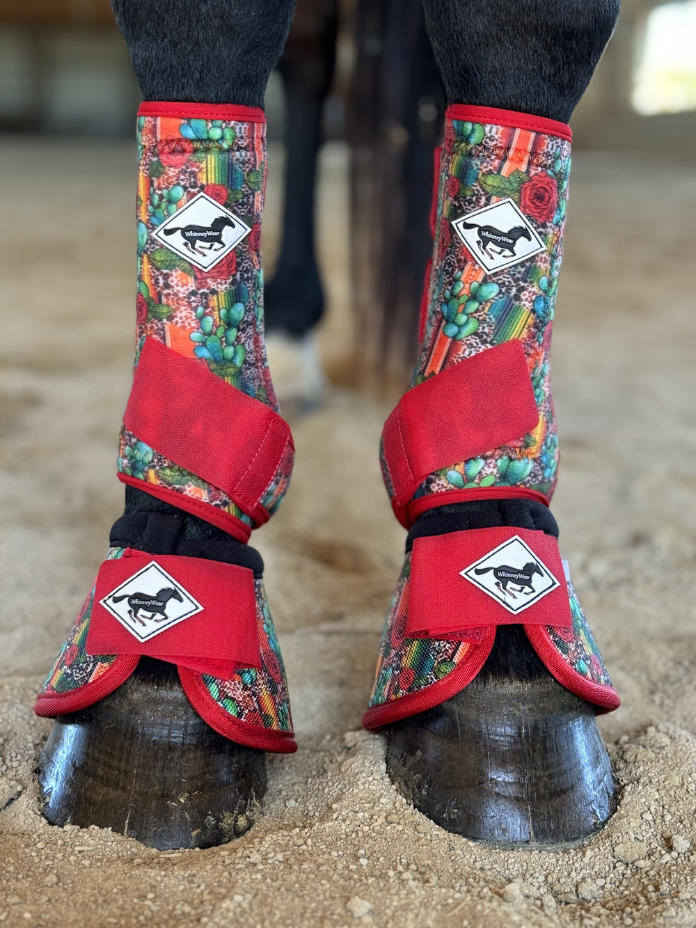 Made to Order Mohave Rose Horse Sport Boots | WhinneyWear