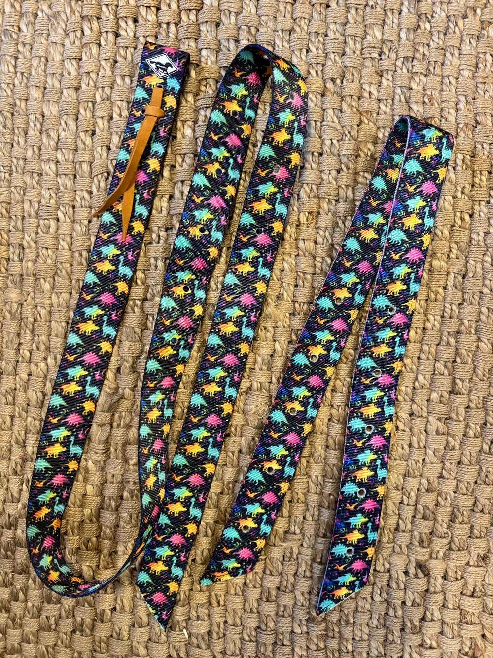 Neon Dinosaurs Cinch Set
