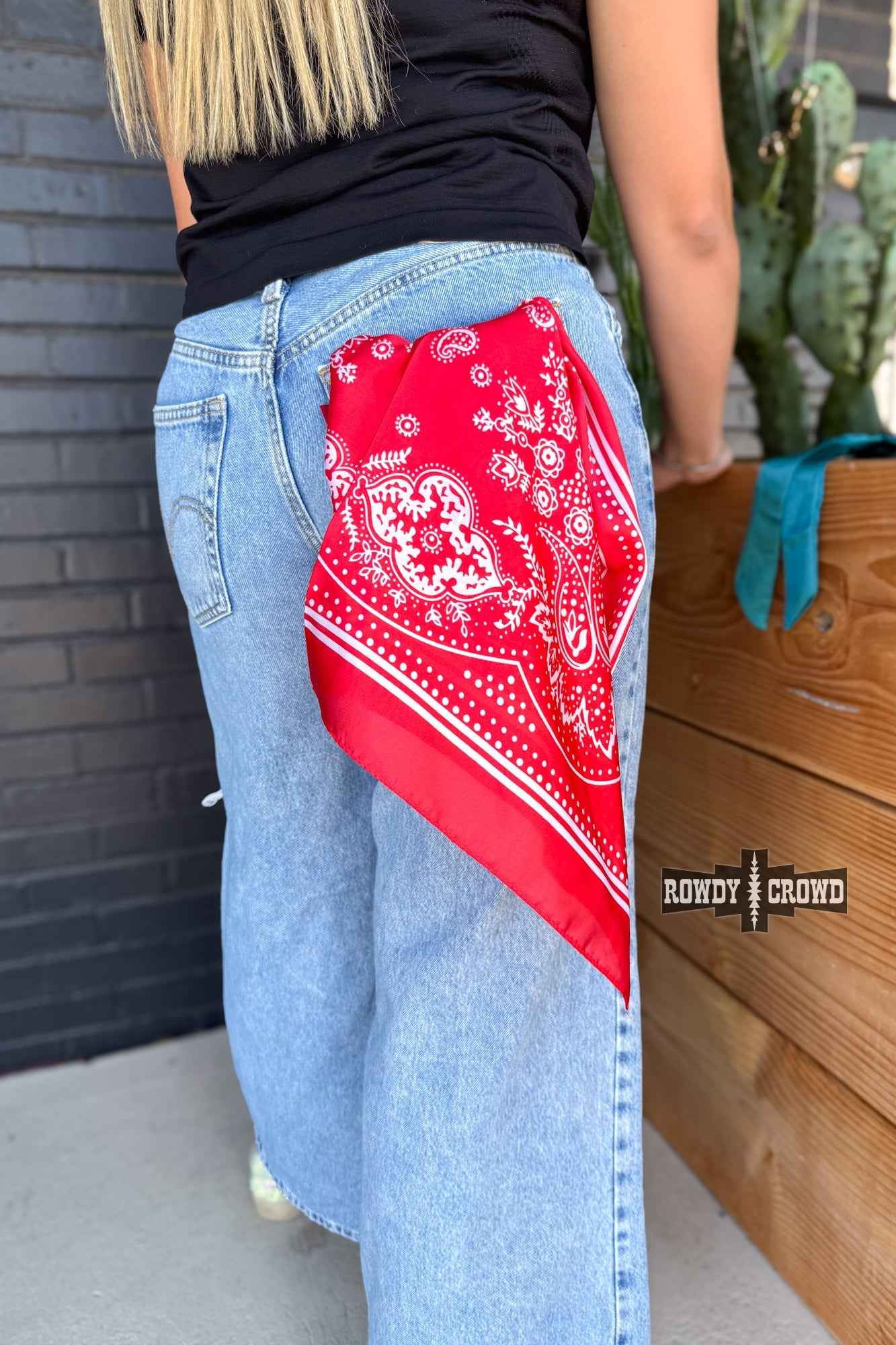 DS SMALL Buffalo Bandana Wild Rags