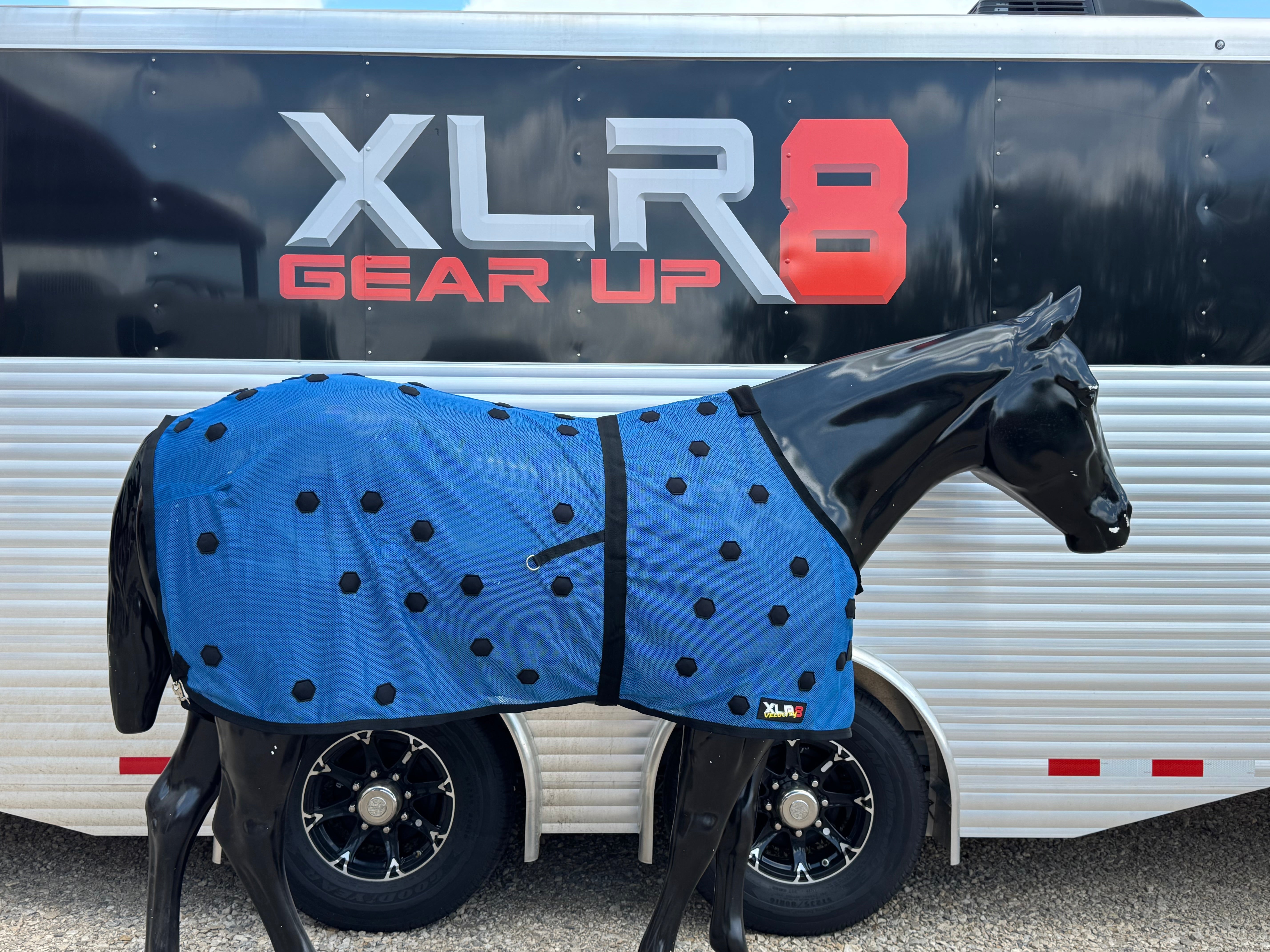 XLR8 Equine x WhinneyWear