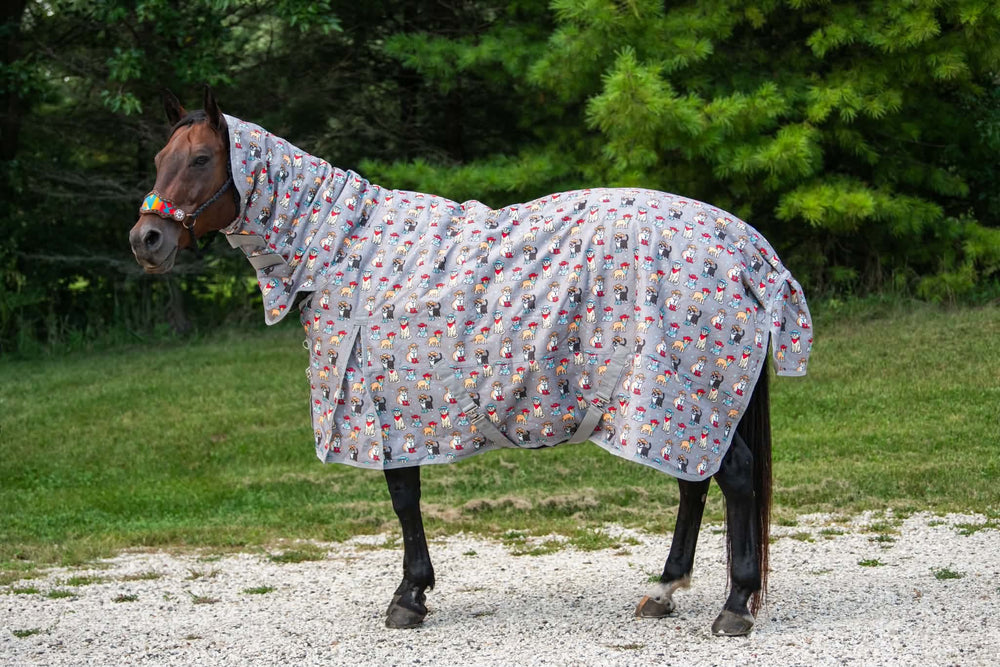 PRE ORDER: Meowdy Heavy Winter Blanket - Orders Close 9/22
