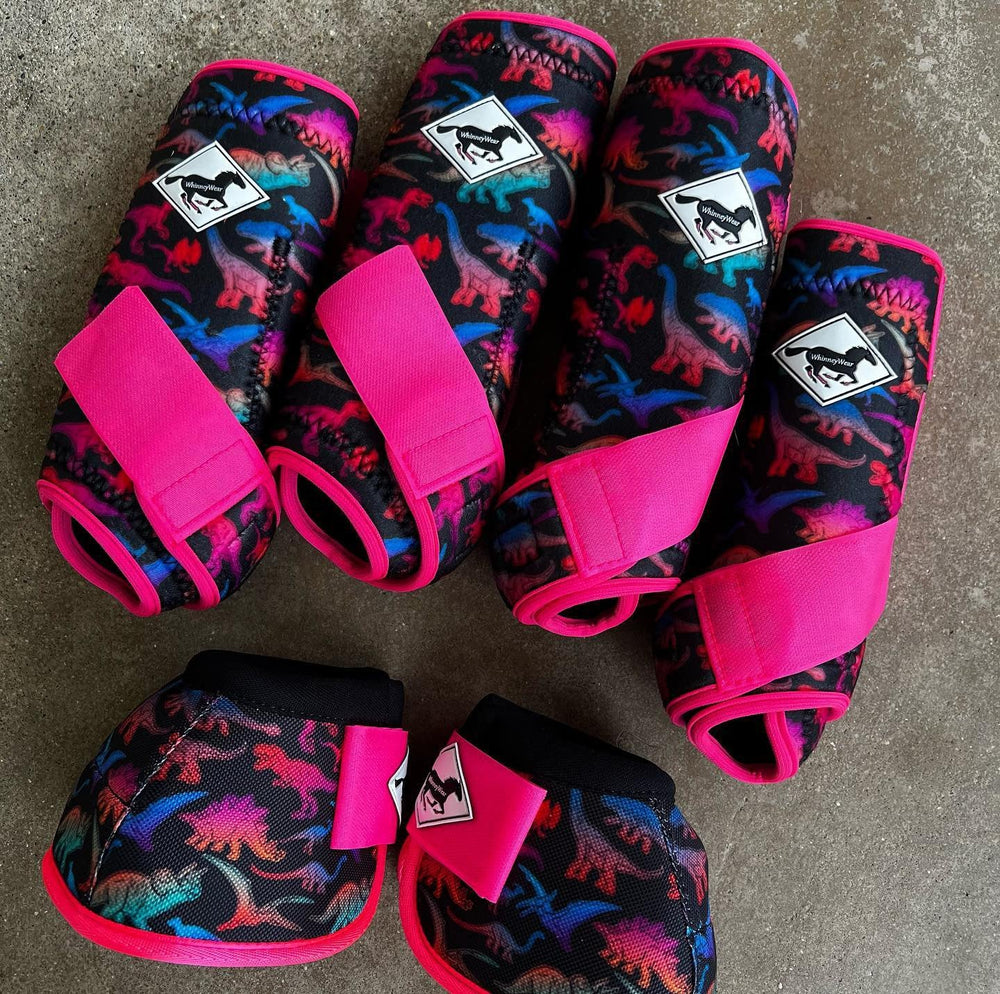 Made To Order: Ombre Dinosaurs