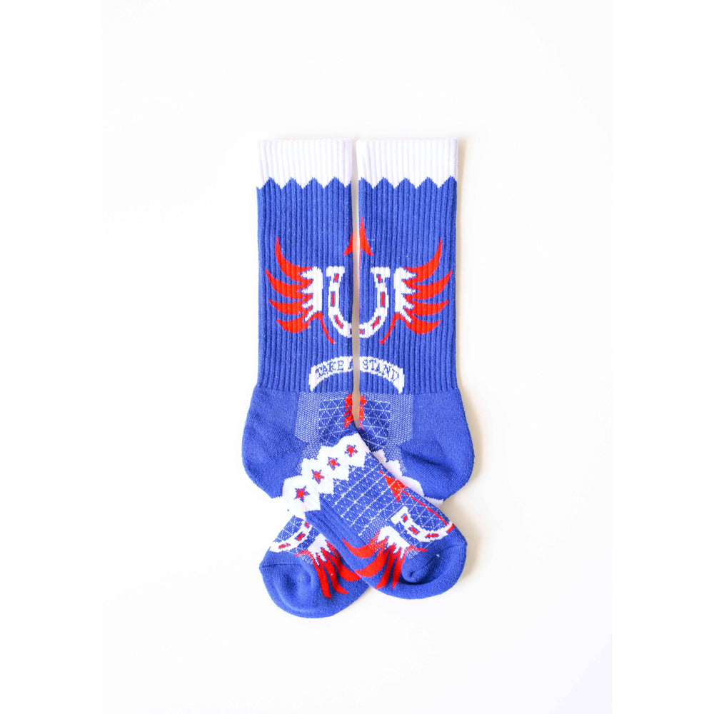 Take A Stand/ America Performance Boot Socks