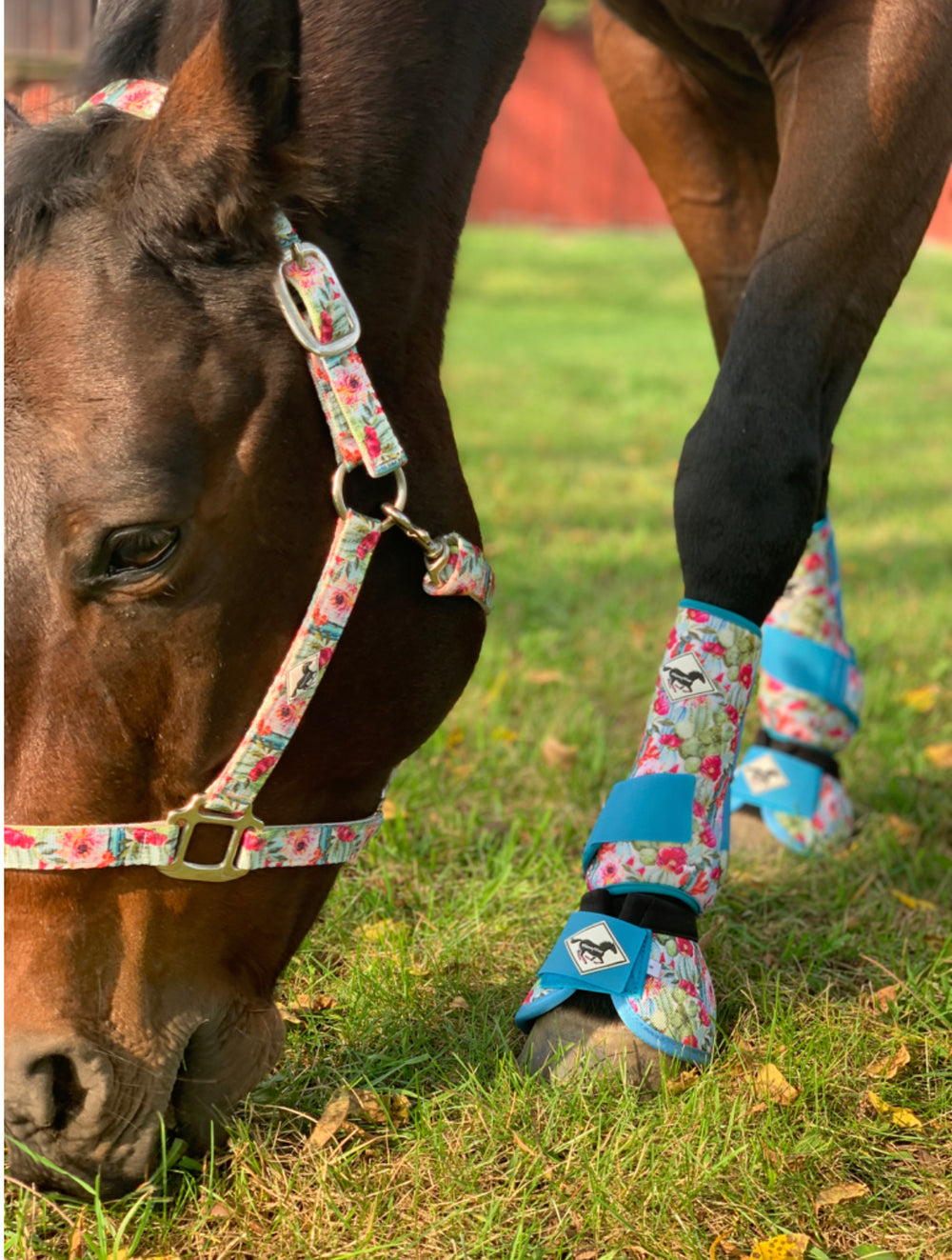 Made to Order Wild Child Horse Sport Boots | WhinneyWear