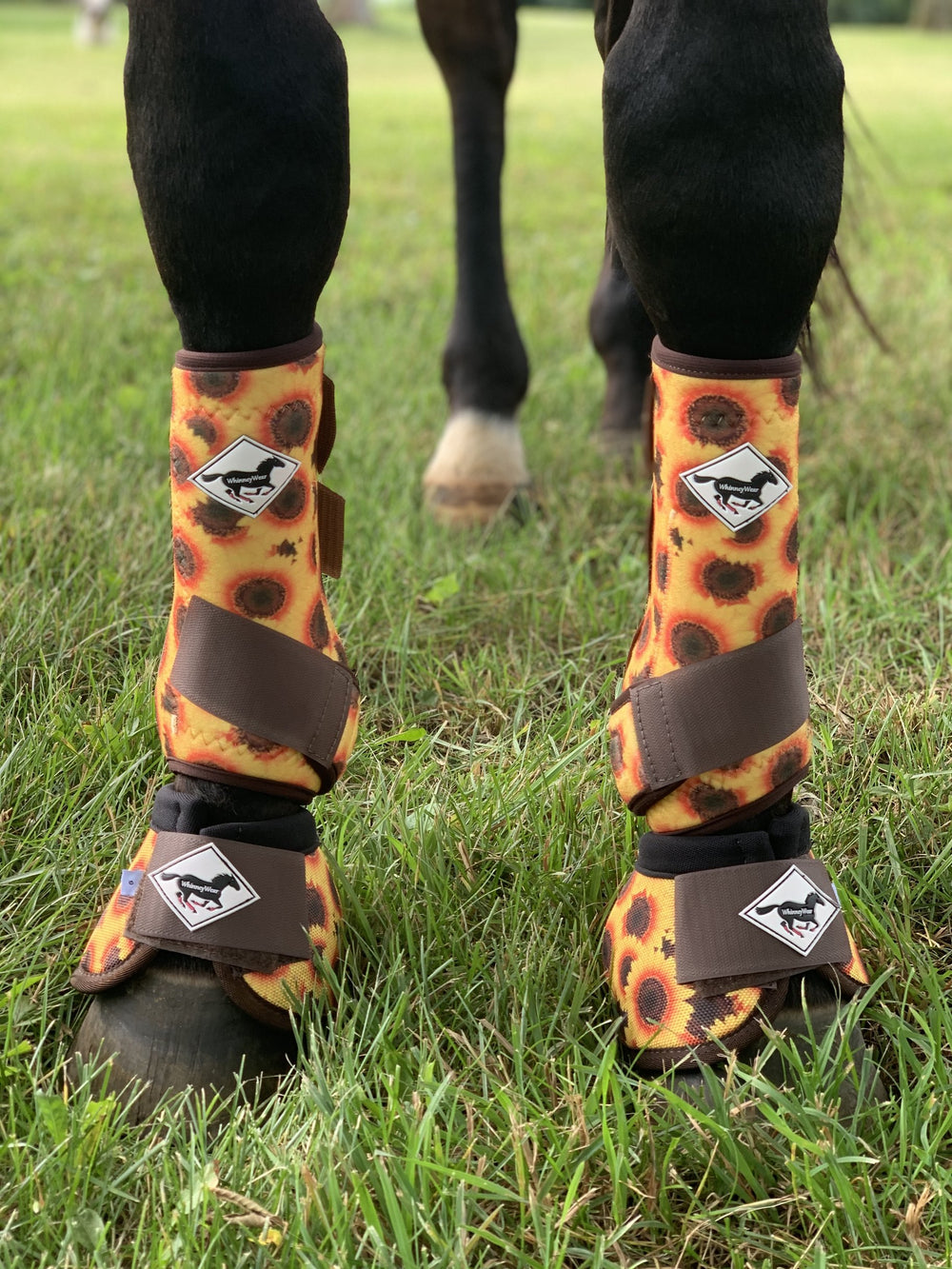 Made to Order Sunflower Horse Sport Boots | WhinneyWear