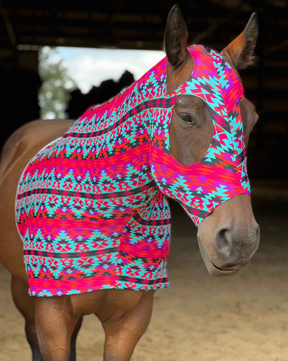 Bold Aztec Slinky