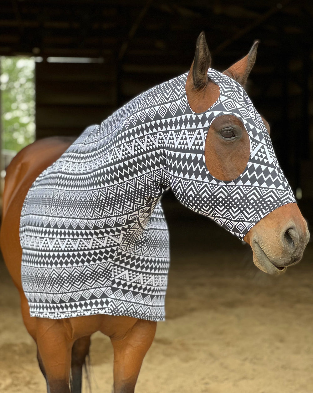 Black & White Aztec Slinky