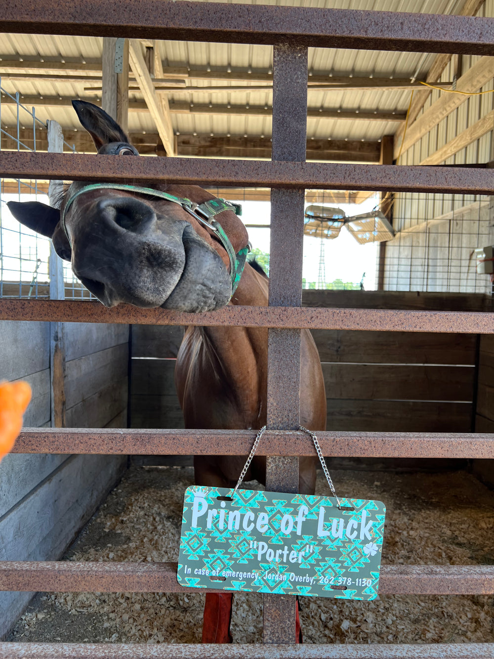 WhinneyWear Custom Stall Sign – Horse Stall Sign