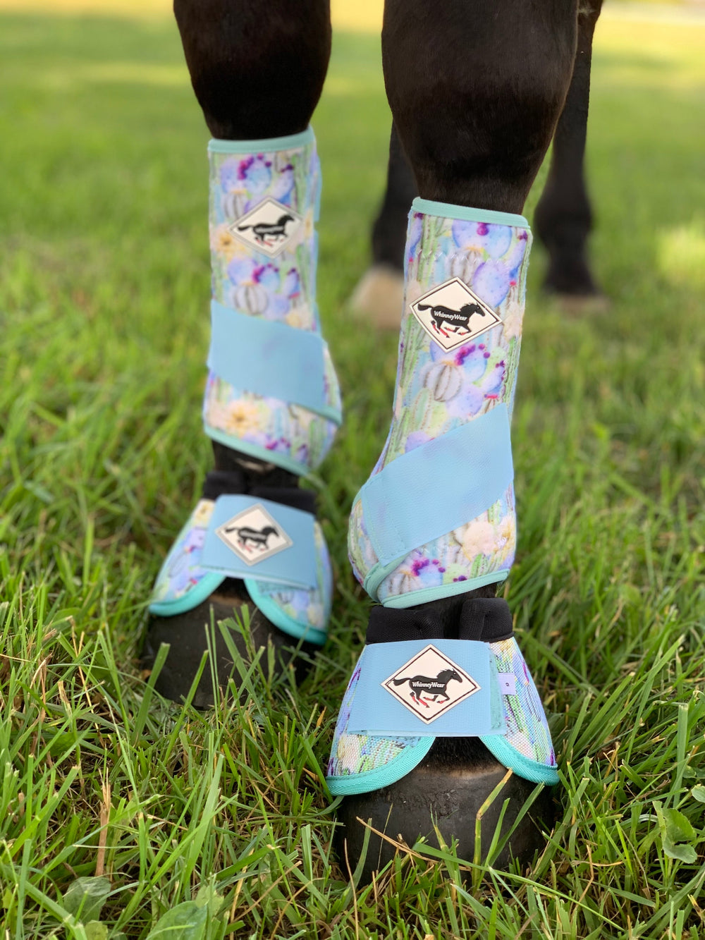 Made to Order Mint Cactus Horse Sport Boots | WhinneyWear