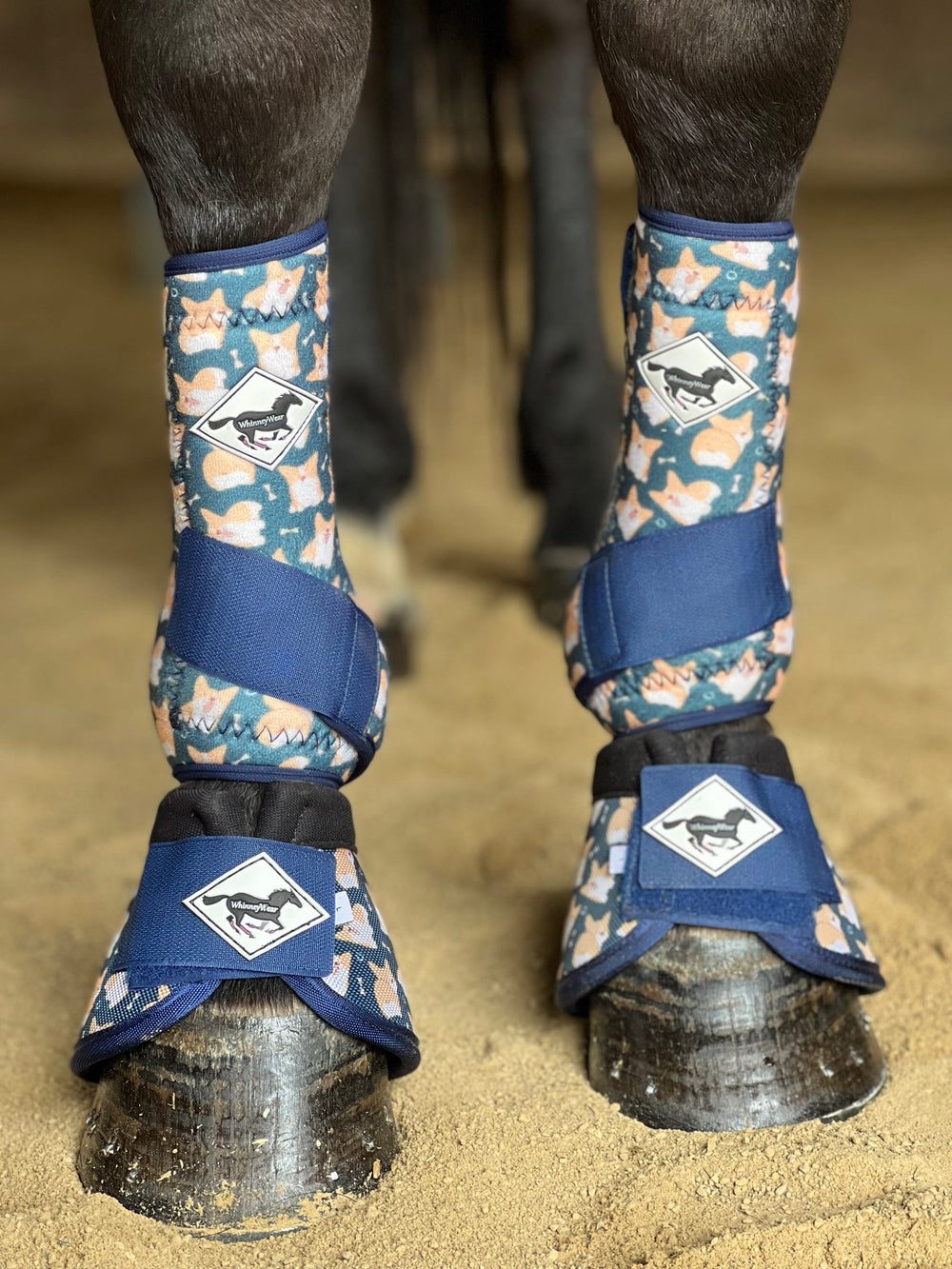 Made to Order Corgi Crew Horse Sport Boots | WhinneyWear